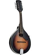 Ozark 2254 Mandolin A Model With Oval Hole Pro