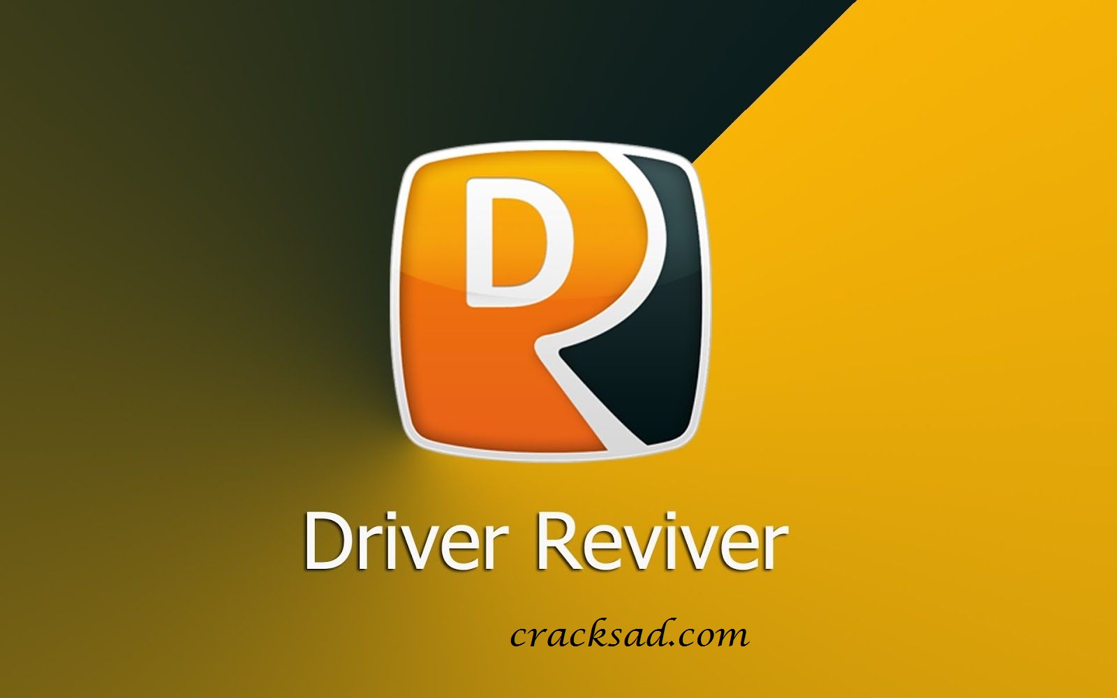 Driver Reviver Crack