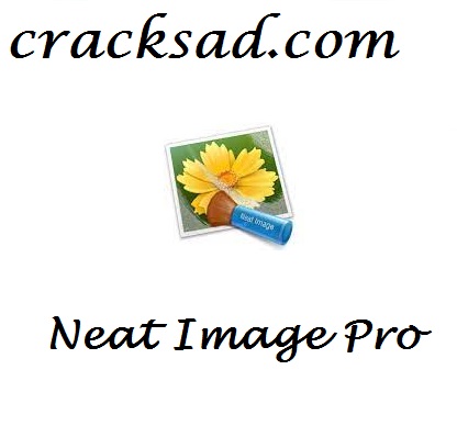 Neat Image Pro Crack