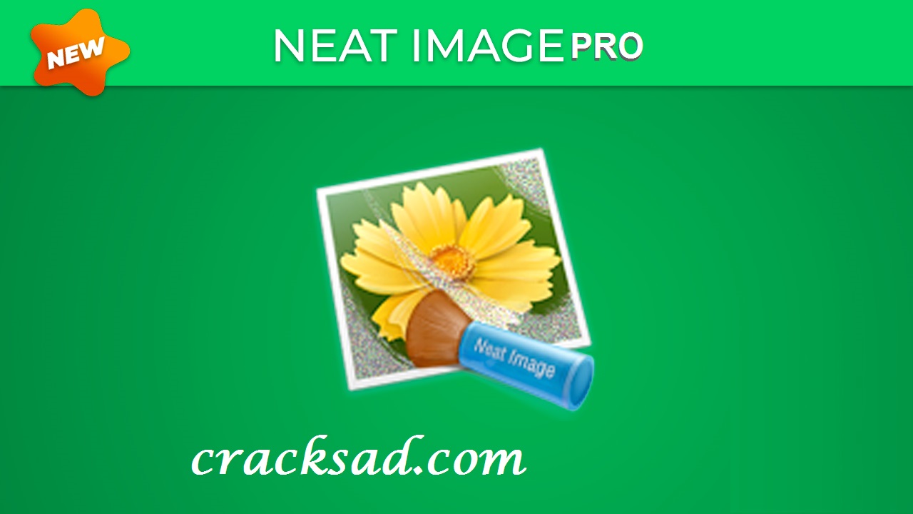 Neat Image Pro Crack